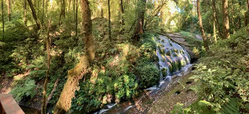 Metsä