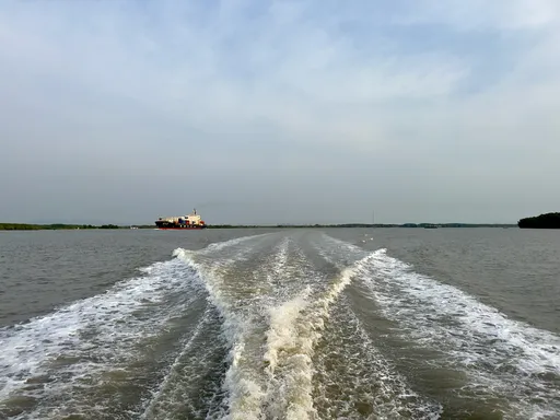 Joki