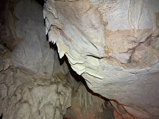 Hainhampaita