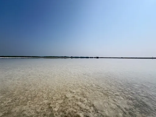 Suolankeruuallas