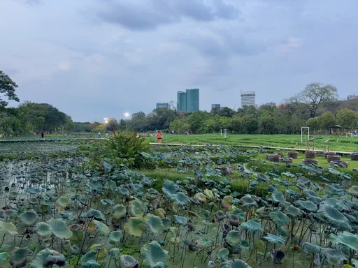 Lootuksia