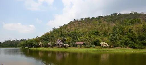 Jorpakon rantaa