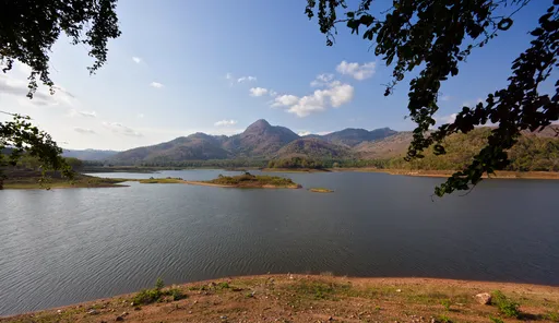 Maisema