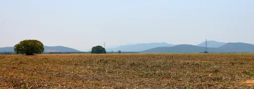 Maisema