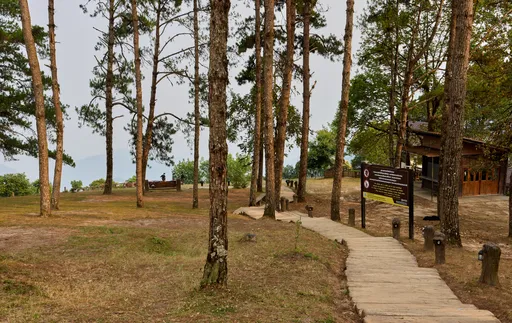 Doi Angkhangin leirintäalue