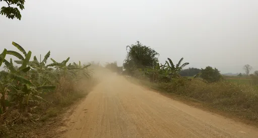 Tomua