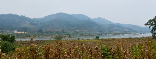 Mekong ja maissipelto