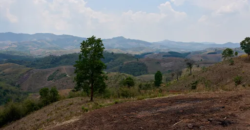 Maisema