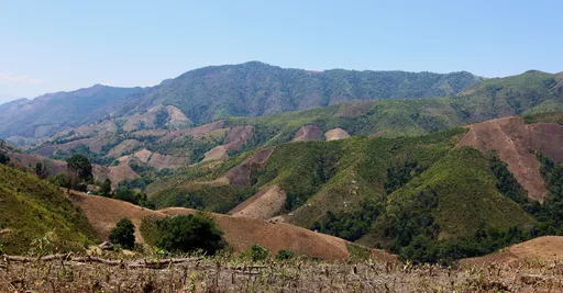 Maisema