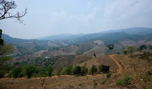 Maisema